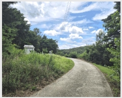  2025Ÿ��8486 ��� ���� �Ͼ��� ��ȣ�� ��18      ����(�Ӿ�)���