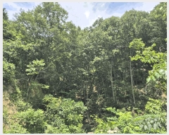  2025Ÿ��8486 ��� ���� �Ͼ��� ��ȣ�� ��18      ����(�Ӿ�)���