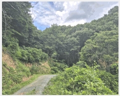  2025Ÿ��8486 ��� ���� �Ͼ��� ��ȣ�� ��18      ����(�Ӿ�)���