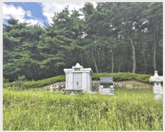  2025Ÿ��8486 ��� ���� �Ͼ��� ��ȣ�� ��18      ����(�Ӿ�)���