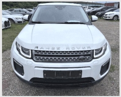  2025Ÿ��8891 �뱸 �ϱ� ��ȣ�� 416 ���丶Ʈ �뱸������     �������