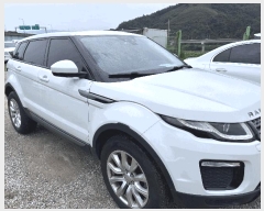  2025Ÿ��8891 �뱸 �ϱ� ��ȣ�� 416 ���丶Ʈ �뱸������     �������