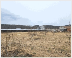  2025Ÿ��649  �����