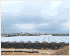  2025Ÿ��649  �����