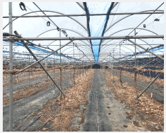  2025Ÿ��649  �����