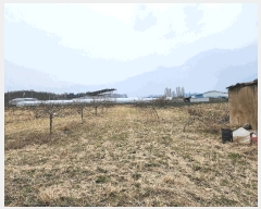  2025Ÿ��649  �����