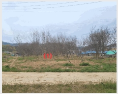  2025Ÿ��671 ��� ĥ� ���� ��ȣ�� 320      ����(��1)���