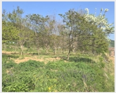  2025Ÿ��671 ��� ĥ� ���� ��ȣ�� 320      ����(��1)���