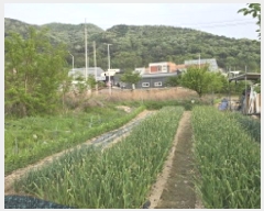  2025Ÿ��703  �������