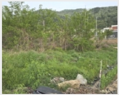  2025Ÿ��703  �������