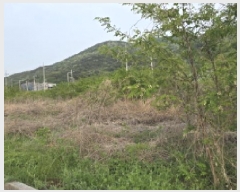  2025Ÿ��703  �������