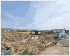 2025Ÿ��737 �뱸 ���� �纹�� 506       ����(��)���