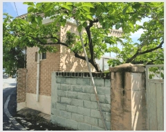  2025Ÿ��774  ���ð��