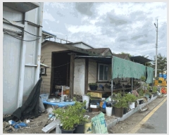  2025Ÿ��786 ��� ���� ���θ� ���θ� 147-13      ����,â�����