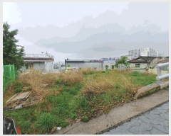  2025Ÿ��796 �뱸 �ϱ� ħ�굿 1612       ����(����)���