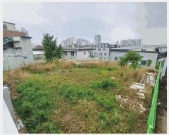  2025Ÿ��796 �뱸 �ϱ� ħ�굿 1612       ����(����)���