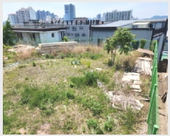  2025Ÿ��796 �뱸 �ϱ� ħ�굿 1612       ����(����)���