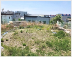  2025Ÿ��796 �뱸 �ϱ� ħ�굿 1612       ����(����)���