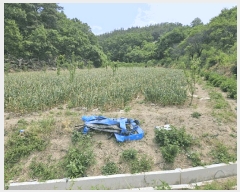  2025Ÿ��851  �����