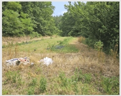  2025Ÿ��851  �����