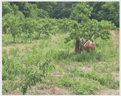  2025Ÿ��851  �����