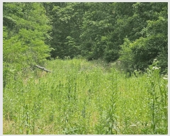  2025Ÿ��851  �����