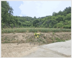  2025Ÿ��851  �����