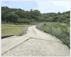  2025Ÿ��851  �����