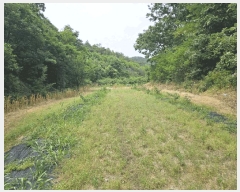  2025Ÿ��851  �����