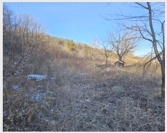  2025Ÿ5179  õ ȣ ȣ 443-1      (Ӿ)