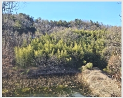  2025Ÿ5179  õ ȣ ȣ 443-1      (Ӿ)