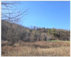  2025Ÿ5179  õ ȣ ȣ 443-1      (Ӿ)