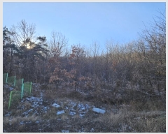  2025Ÿ5179  õ ȣ ȣ 443-1      (Ӿ)