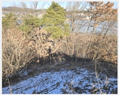  2025Ÿ5179  õ ȣ ȣ 443-1      (Ӿ)