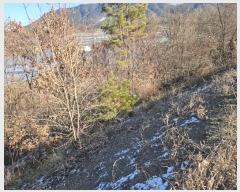  2025Ÿ5179  õ ȣ ȣ 443-1      (Ӿ)