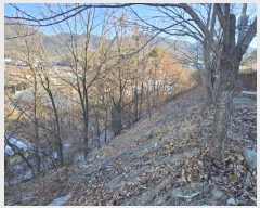  2025Ÿ5179  õ ȣ ȣ 443-1      (Ӿ)