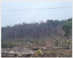  2025Ÿ��5360  �Ӿ߰��