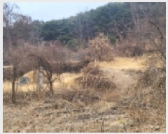  2025Ÿ��5360  �Ӿ߰��