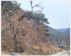  2025Ÿ��5360  �Ӿ߰��