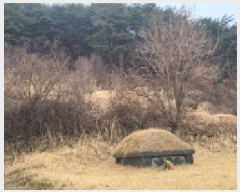  2025Ÿ��5360  �Ӿ߰��