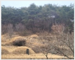  2025Ÿ��5360  �Ӿ߰��