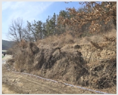  2025Ÿ��5704 ��� ��õ�� ����� ���Ǹ� 530      ����(��1)���