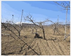  2025Ÿ��7576 ��� ��õ�� �Ӱ��� ������ 279      ����(��1)���