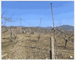  2025Ÿ��7576 ��� ��õ�� �Ӱ��� ������ 279      ����(��1)���