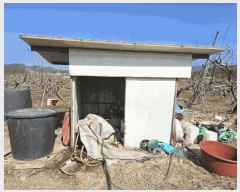  2025Ÿ��7576 ��� ��õ�� �Ӱ��� ������ 279      ����(��1)���