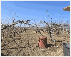  2025Ÿ��7576 ��� ��õ�� �Ӱ��� ������ 279      ����(��1)���