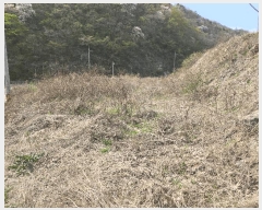  2025Ÿ��7609  ����