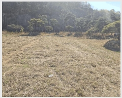  2025Ÿ��7609  ����