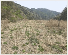  2025Ÿ��7609  ����