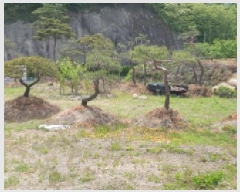  2025Ÿ��7609  ����